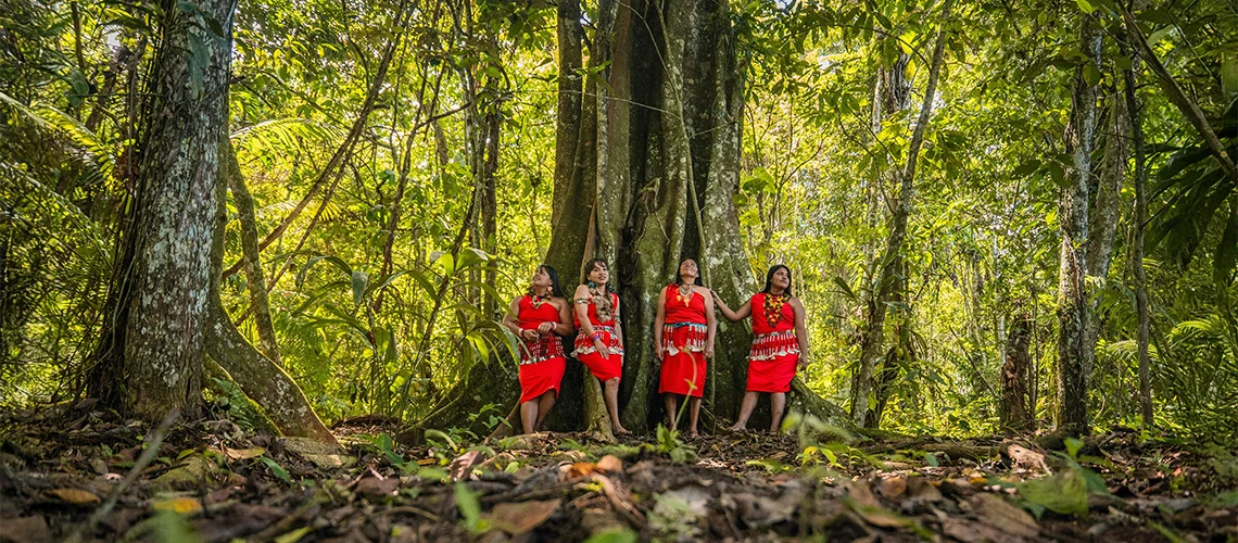 Indigenous Peoples’