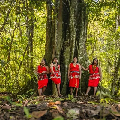 Protecting Indigenous Peoples’ rights